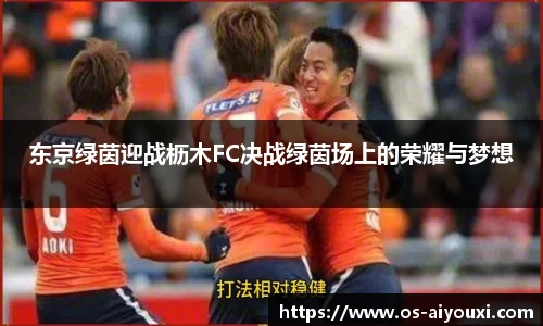 东京绿茵迎战枥木FC决战绿茵场上的荣耀与梦想